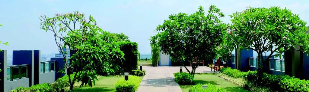 Polyurea green roof waterproof membrane