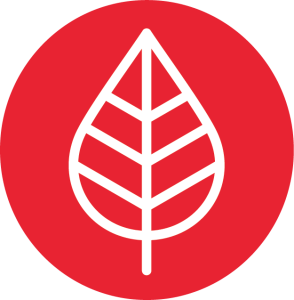 Eco-friendly icon
